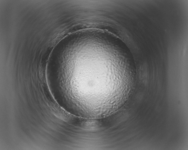 X0000078270173200611031152