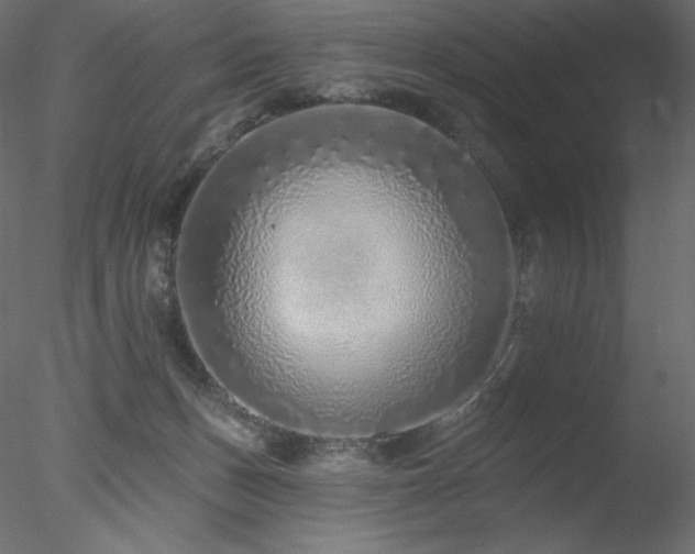 X0000078270175200611031152