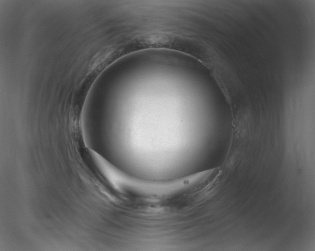 X0000078270176200611031152