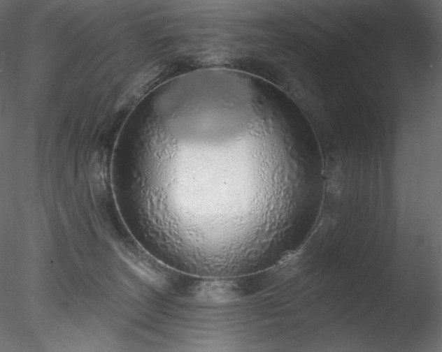 X0000078270179200611031152