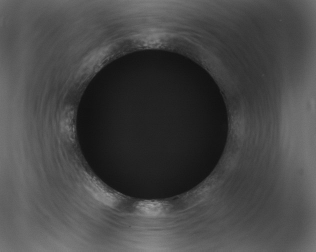 X0000078270181200611031152
