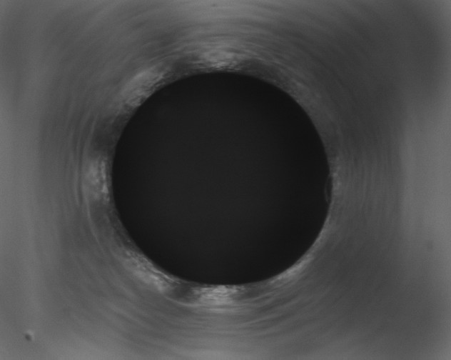 X0000078270182200611031152