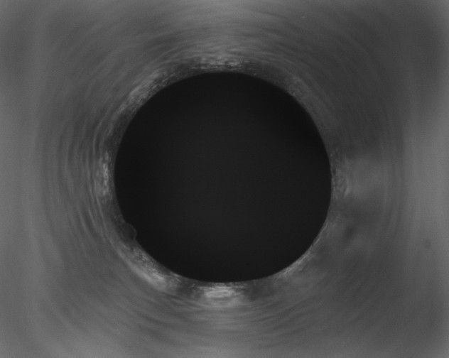 X0000078270183200611031152