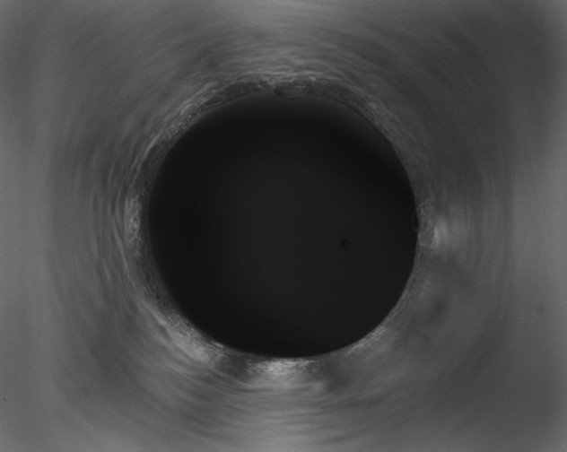 X0000078270184200611031152