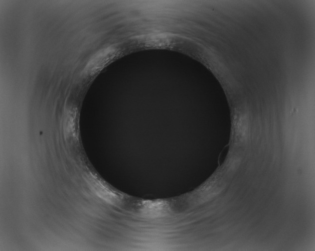 X0000078270185200611031152