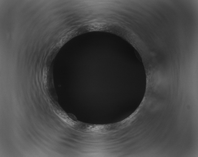 X0000078270186200611031152