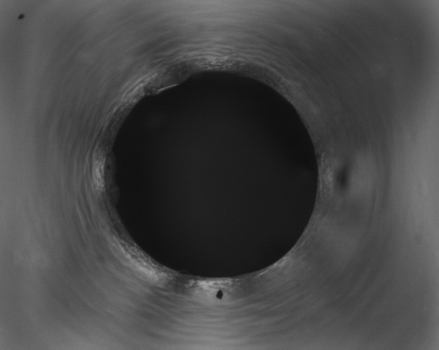 X0000078270188200611031152