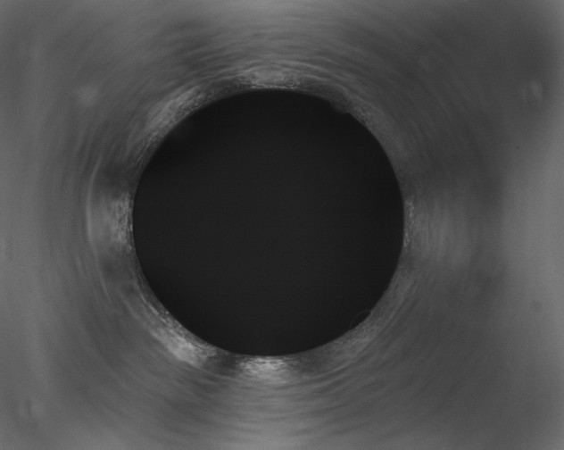 X0000078270189200611031152