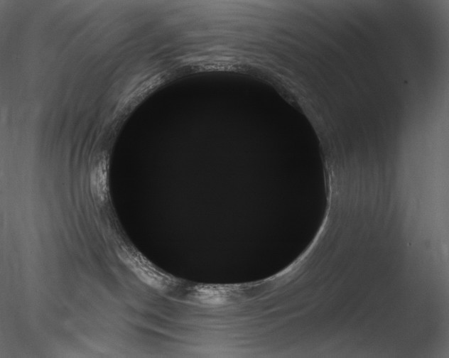 X0000078270190200611031152