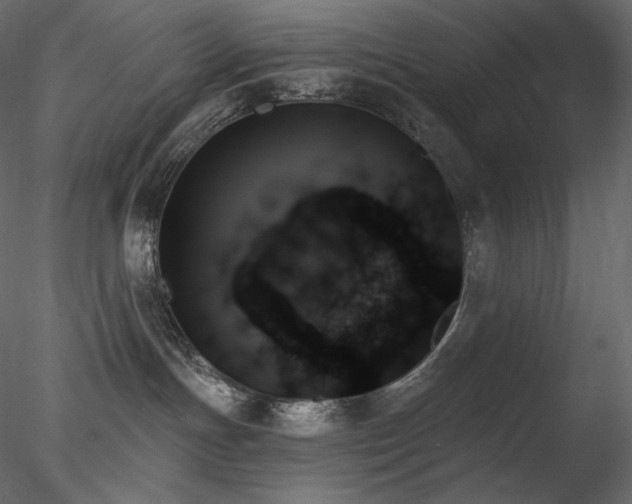 X0000078270191200611031152