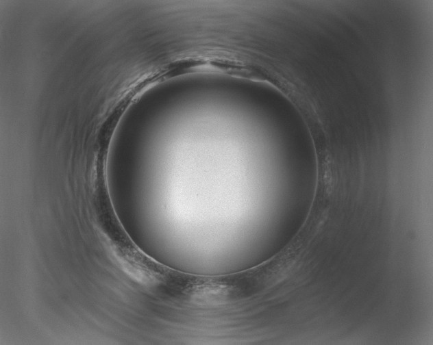 X0000078270206200611031151