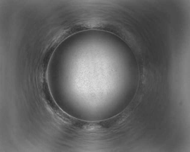 X0000078270210200611031151