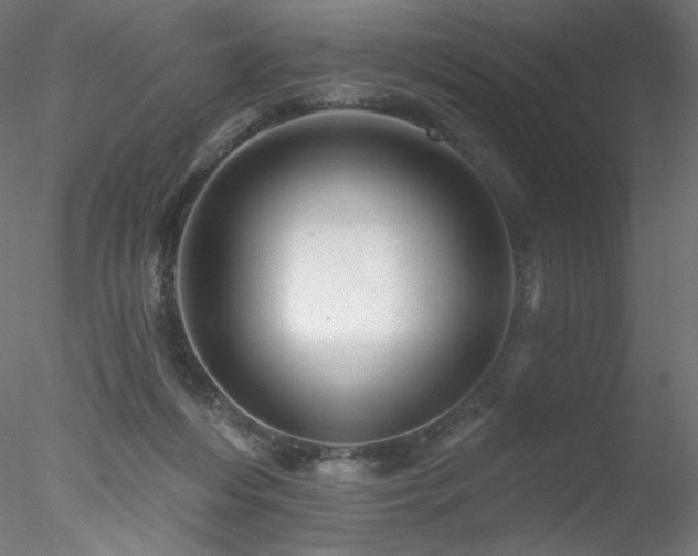 X0000078270216200611031151