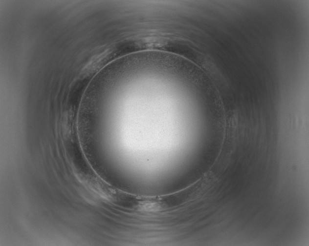 X0000078270218200611031151