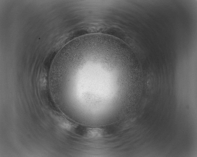 X0000078270226200611031151