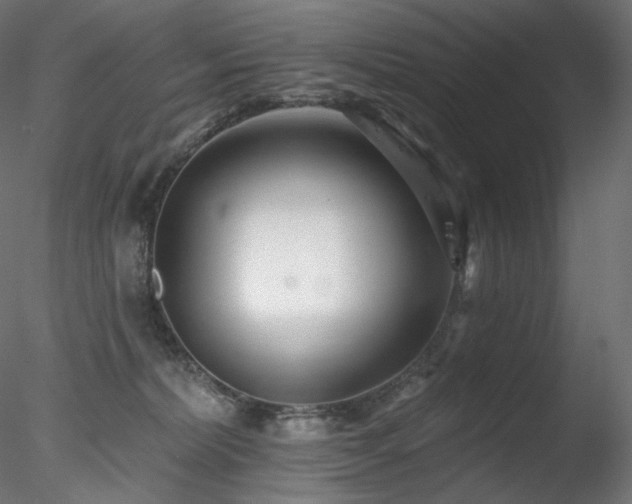 X0000078270228200611031151