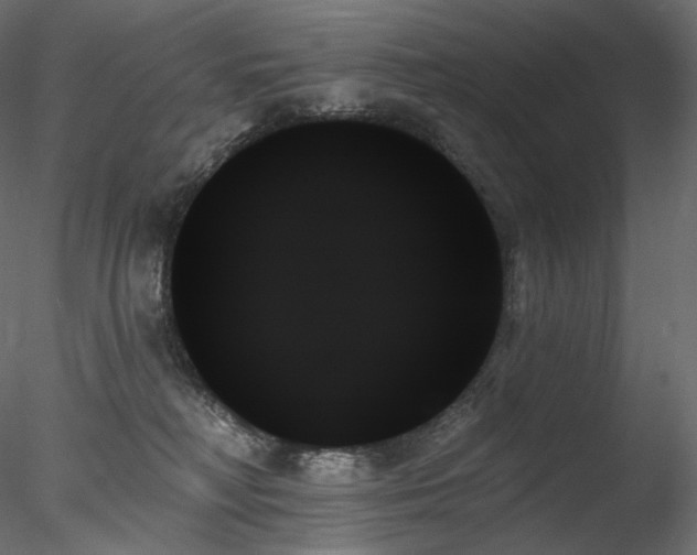 X0000078270230200611031150