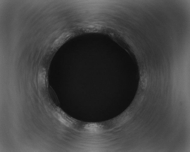 X0000078270231200611031150