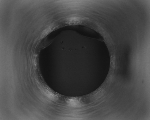 X0000078270232200611031150