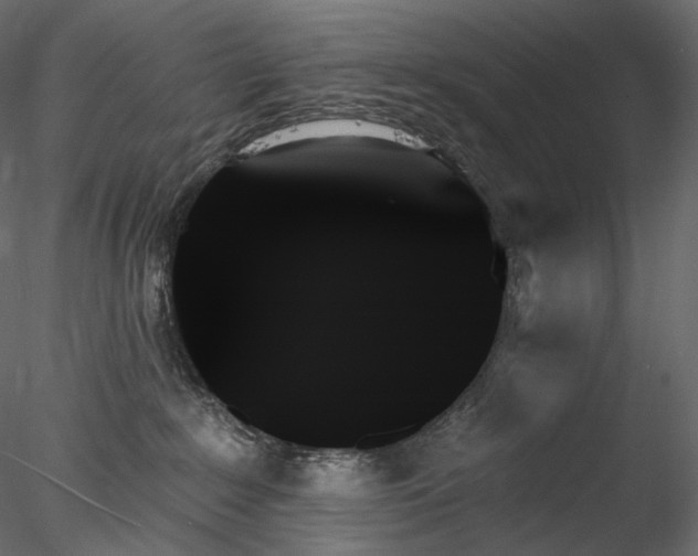 X0000078270235200611031150