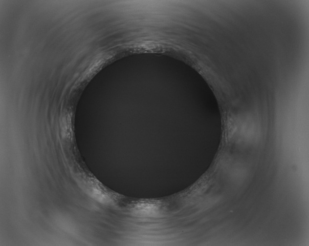 X0000078270236200611031150