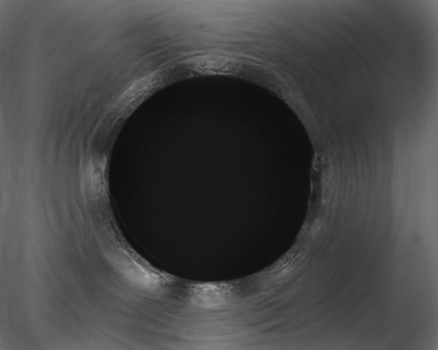 X0000078270239200611031150