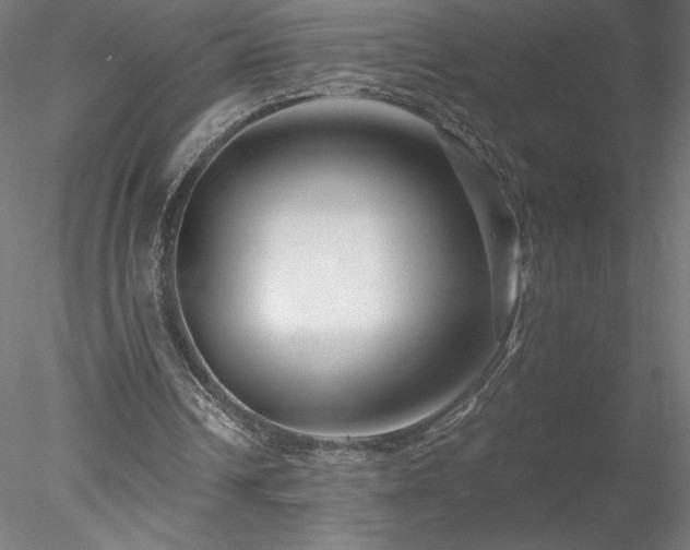 X0000078270242200611031150