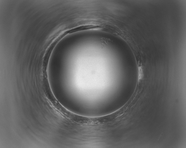 X0000078270243200611031150