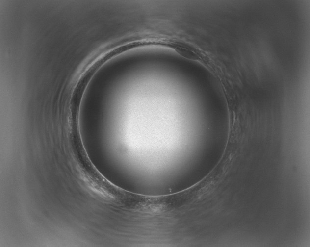 X0000078270247200611031150