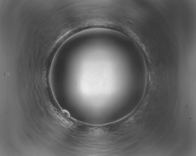 X0000078270249200611031150