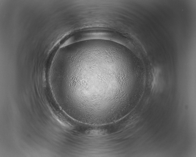 X0000078270251200611031150