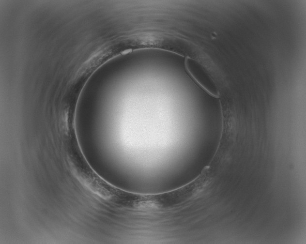 X0000078270262200611031150