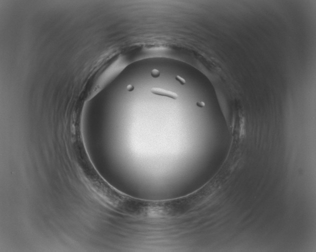 X0000078270264200611031150