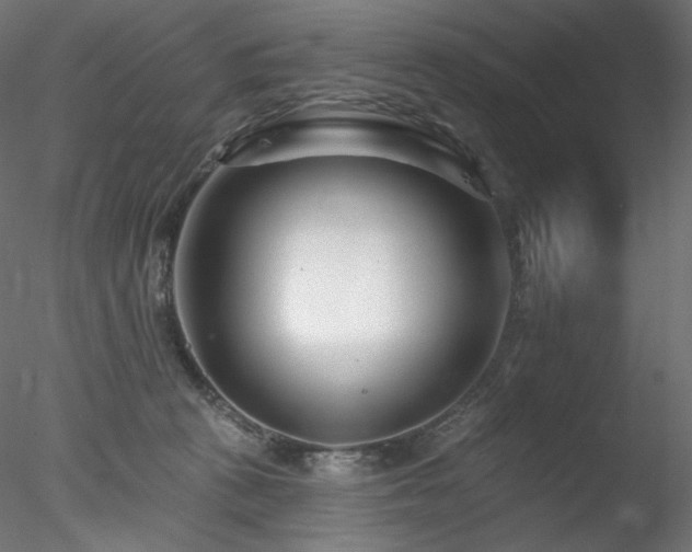 X0000078270273200611031150