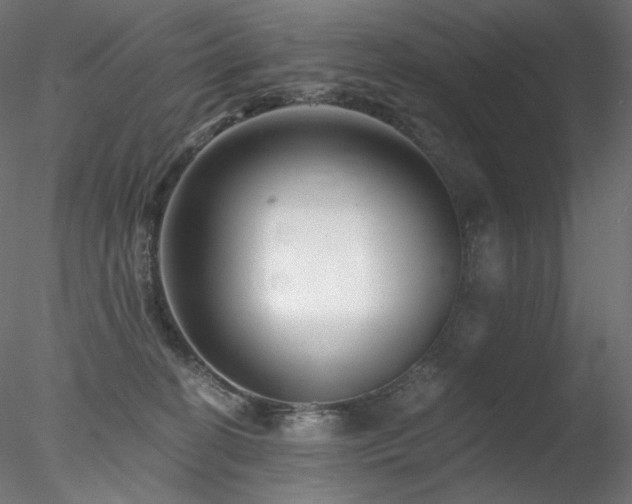 X0000078270274200611031150