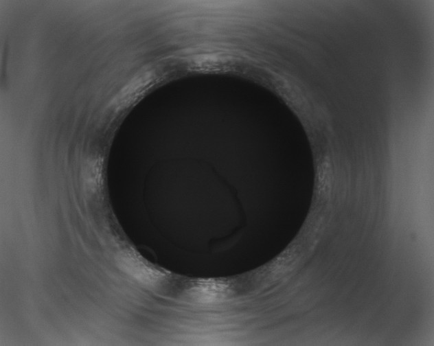 X0000078270278200611031150