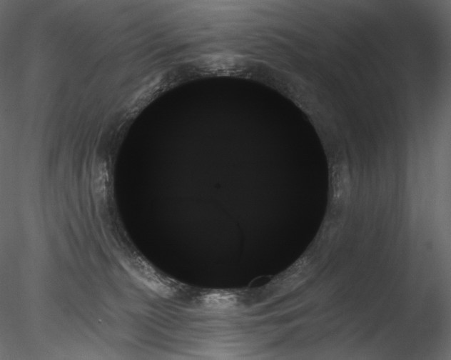 X0000078270279200611031150