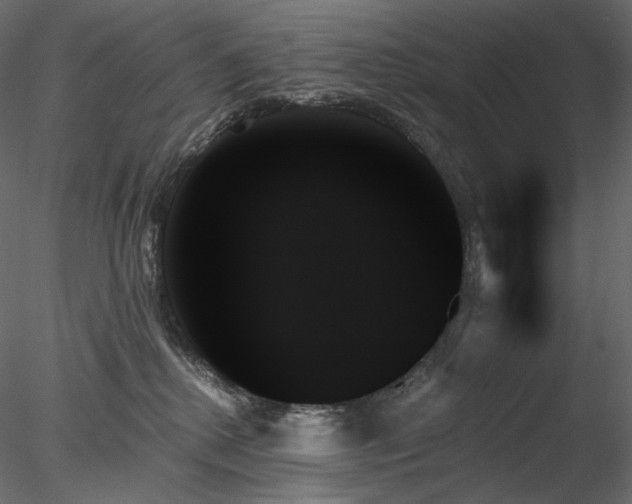 X0000078270280200611031150