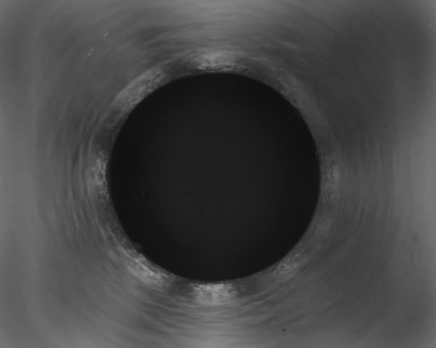X0000078270281200611031150