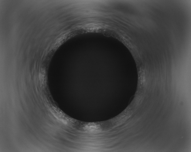 X0000078270283200611031150