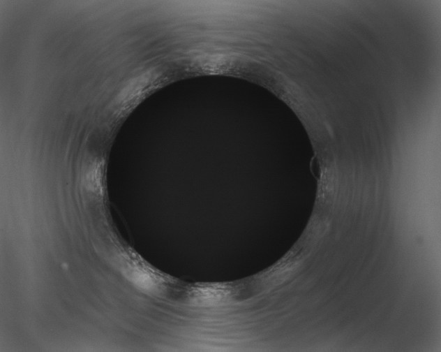 X0000078270286200611031150