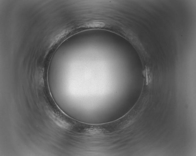 X0000078270300200611031149