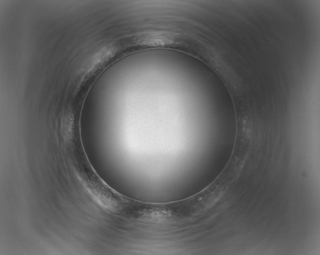X0000078270304200611031149