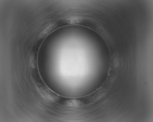 X0000078270316200611031149