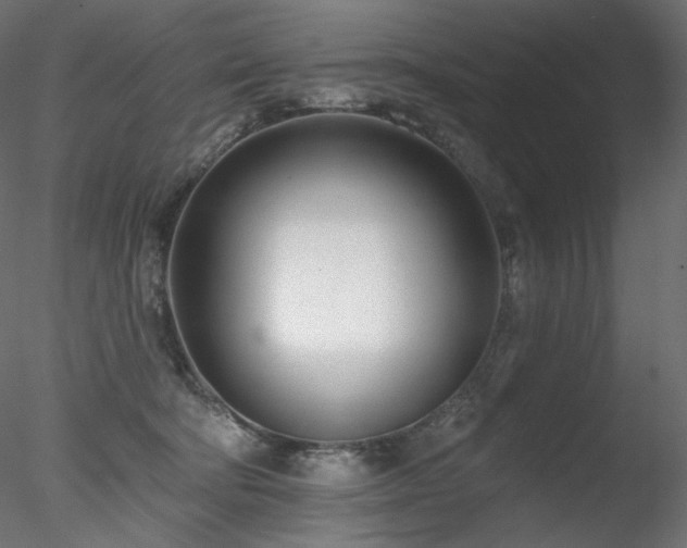 X0000078270322200611031149