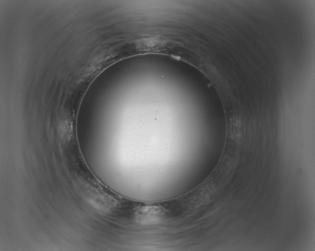 X0000078270324200611031149