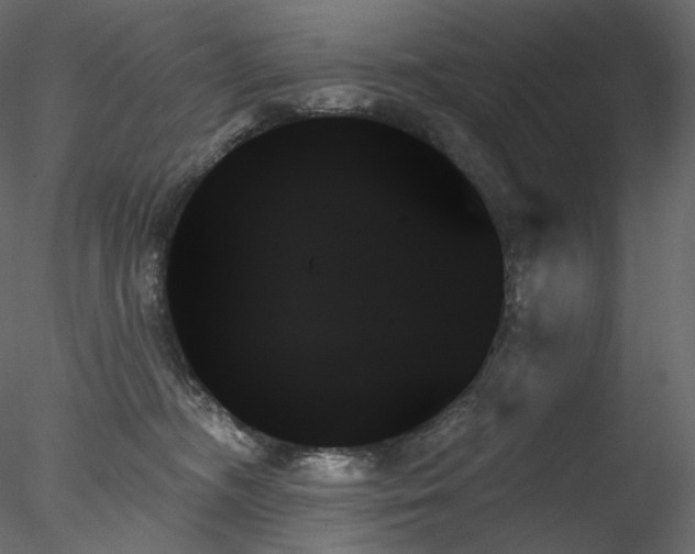 X0000078270326200611031149
