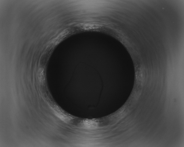X0000078270327200611031149