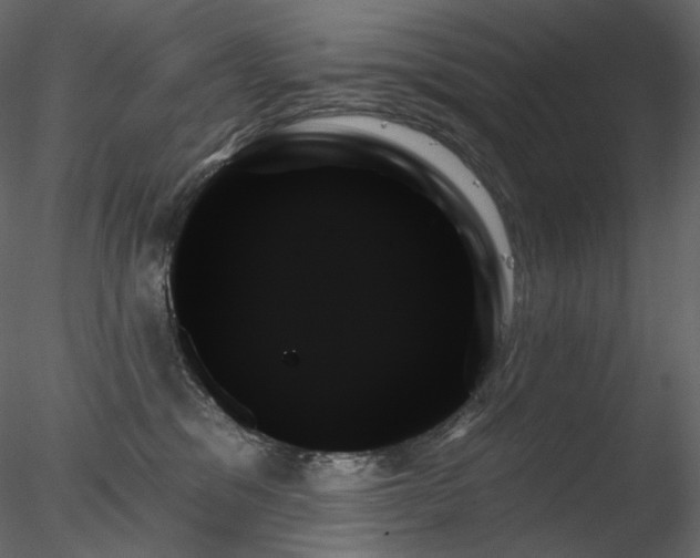 X0000078270329200611031149