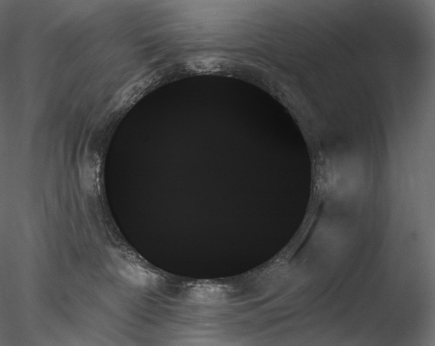 X0000078270332200611031149